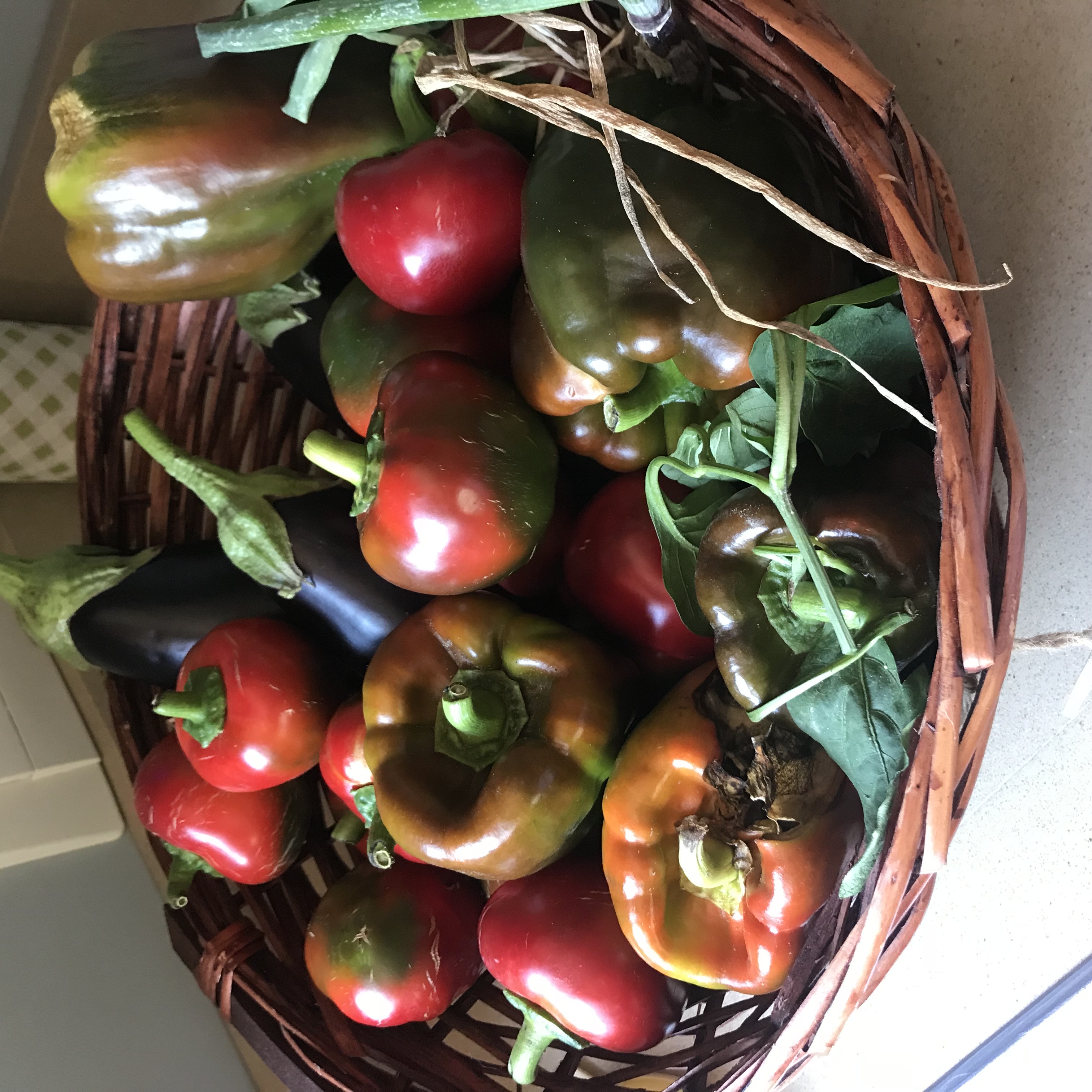 Vegetarian cooking class in Palermo with casarina Alice