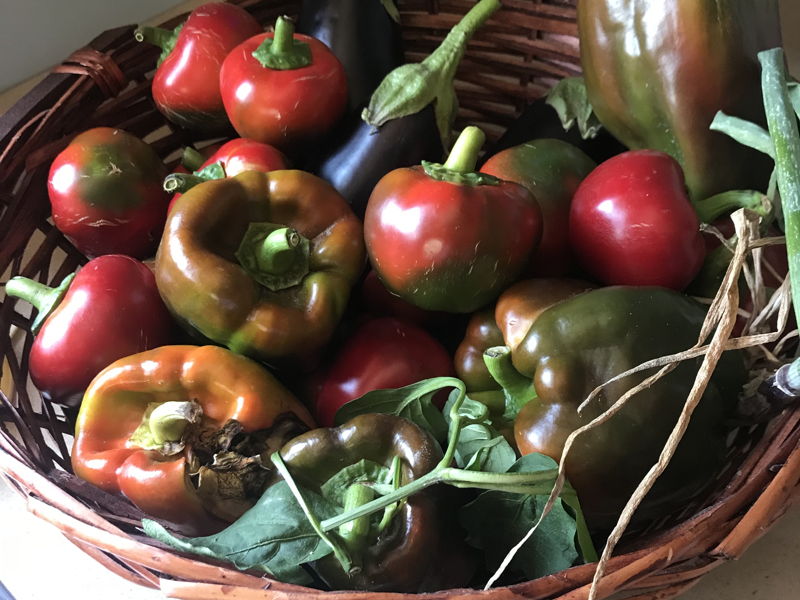 Corsi di cucina Palermo: Viaggio gastronomico nella Sicilia vegetariana