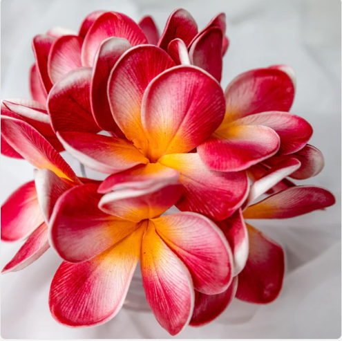 Red Orange Frangipani Flowerhead (6 Pack) - Realistic Artificial Flowers - Image 7