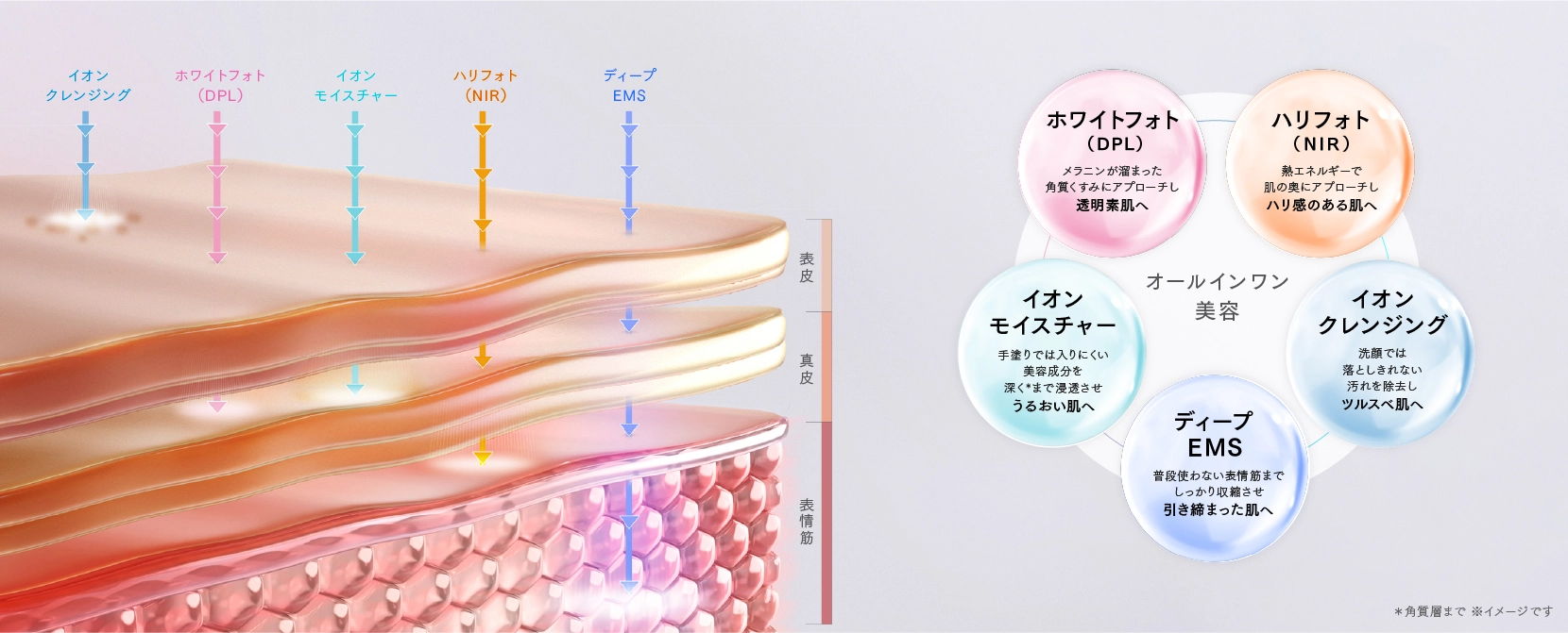 5つの機能