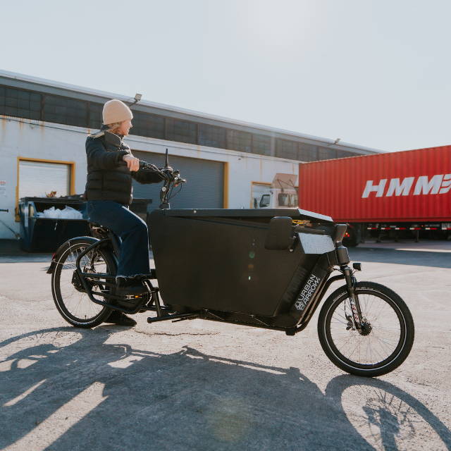 Cargo electric bike