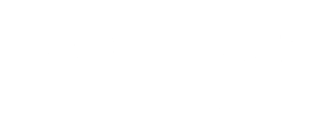 DOMUS Logo