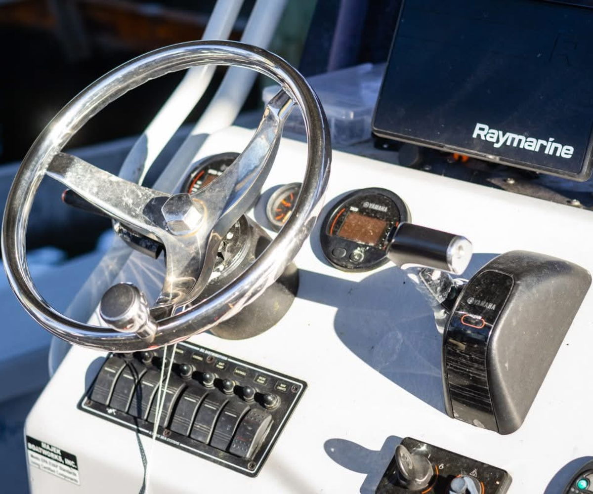 details-image