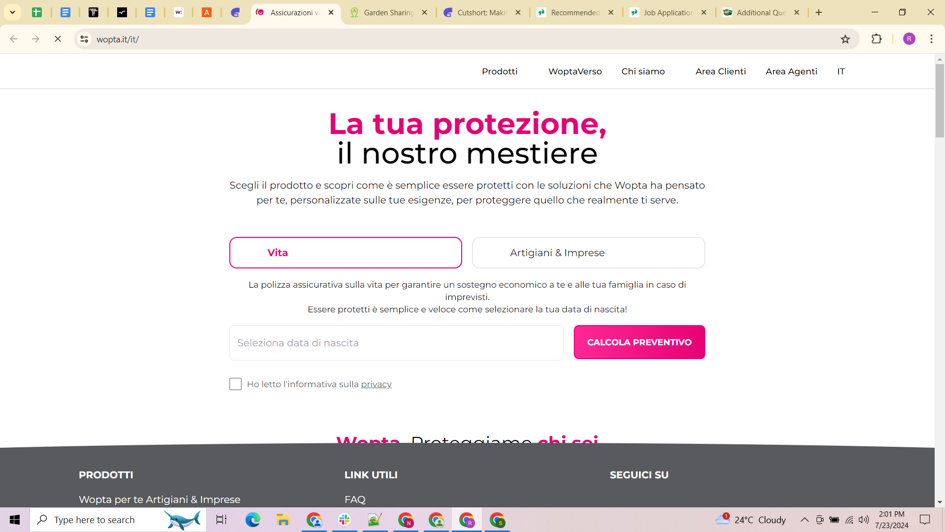 HTML5 Video developers developer - Ruta Z.'s portfolio image