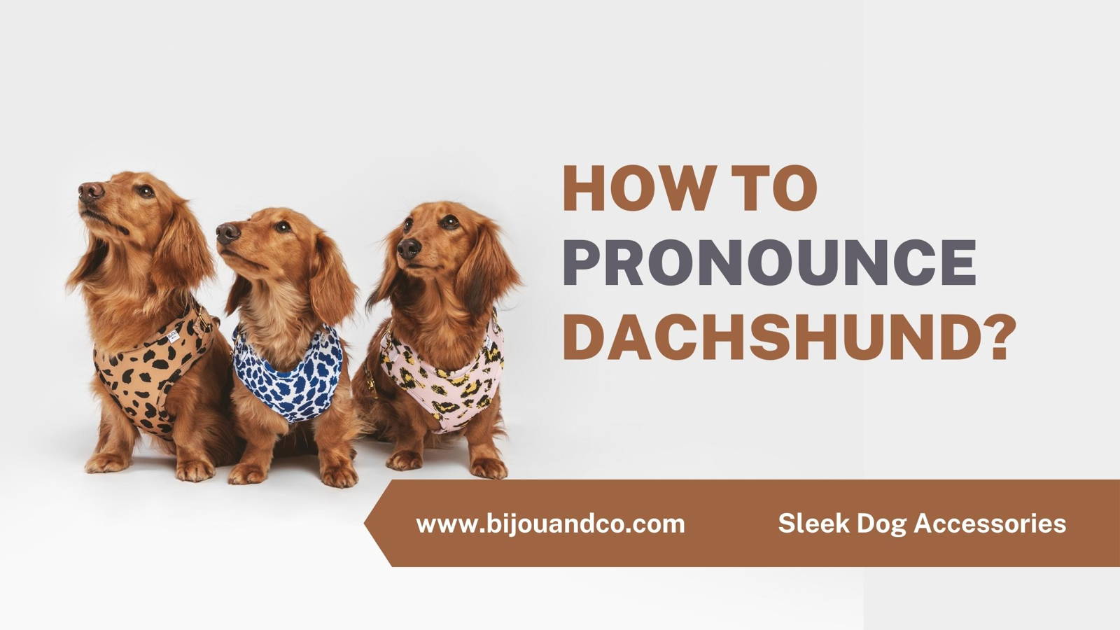 how to prononce dachshund