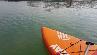 wake beach surfboard