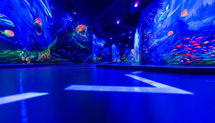 extreme sw frb scaled