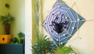 labyrinth kindermuseum spinne