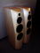 Avalon Acoustics Compas Demo Floor Standing Speakers 6