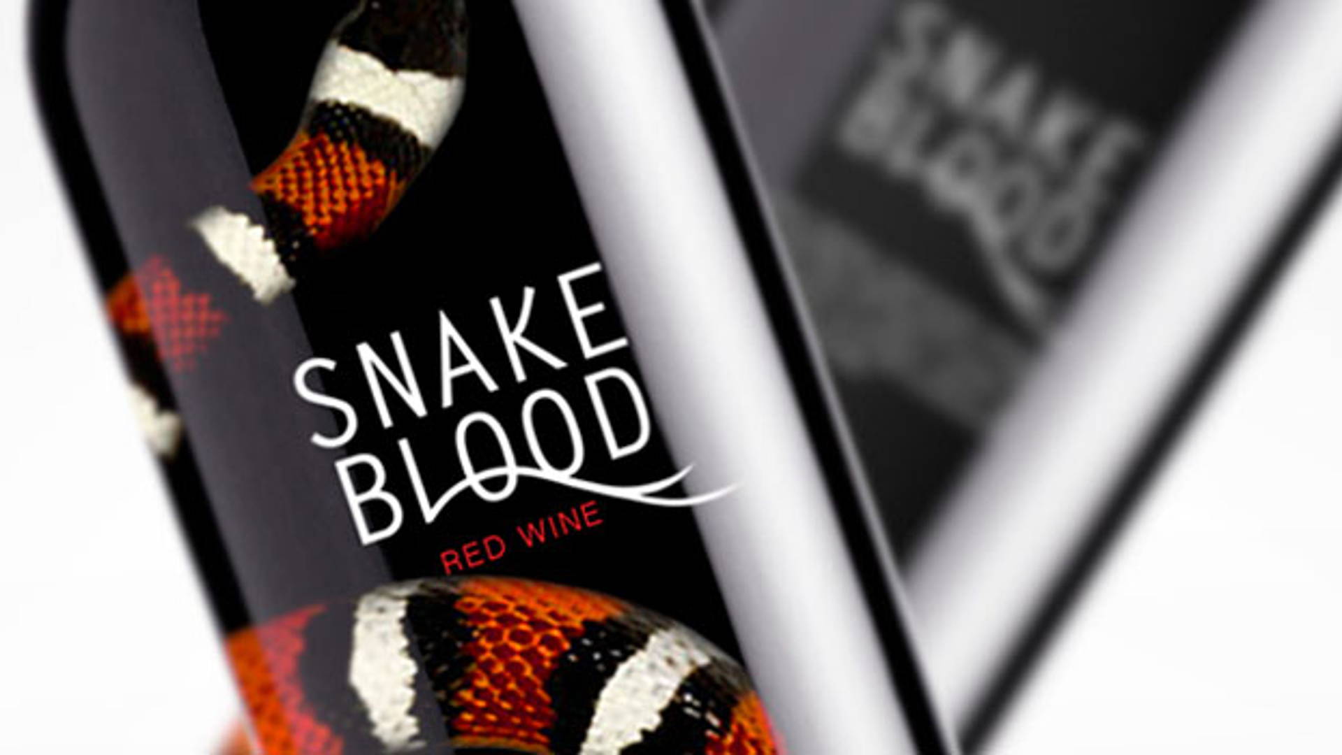 Featured image for Student Spotlight: Snake Blood
