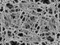collagen fibers representation