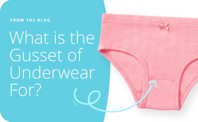 What is the Gusset of Underwear For?