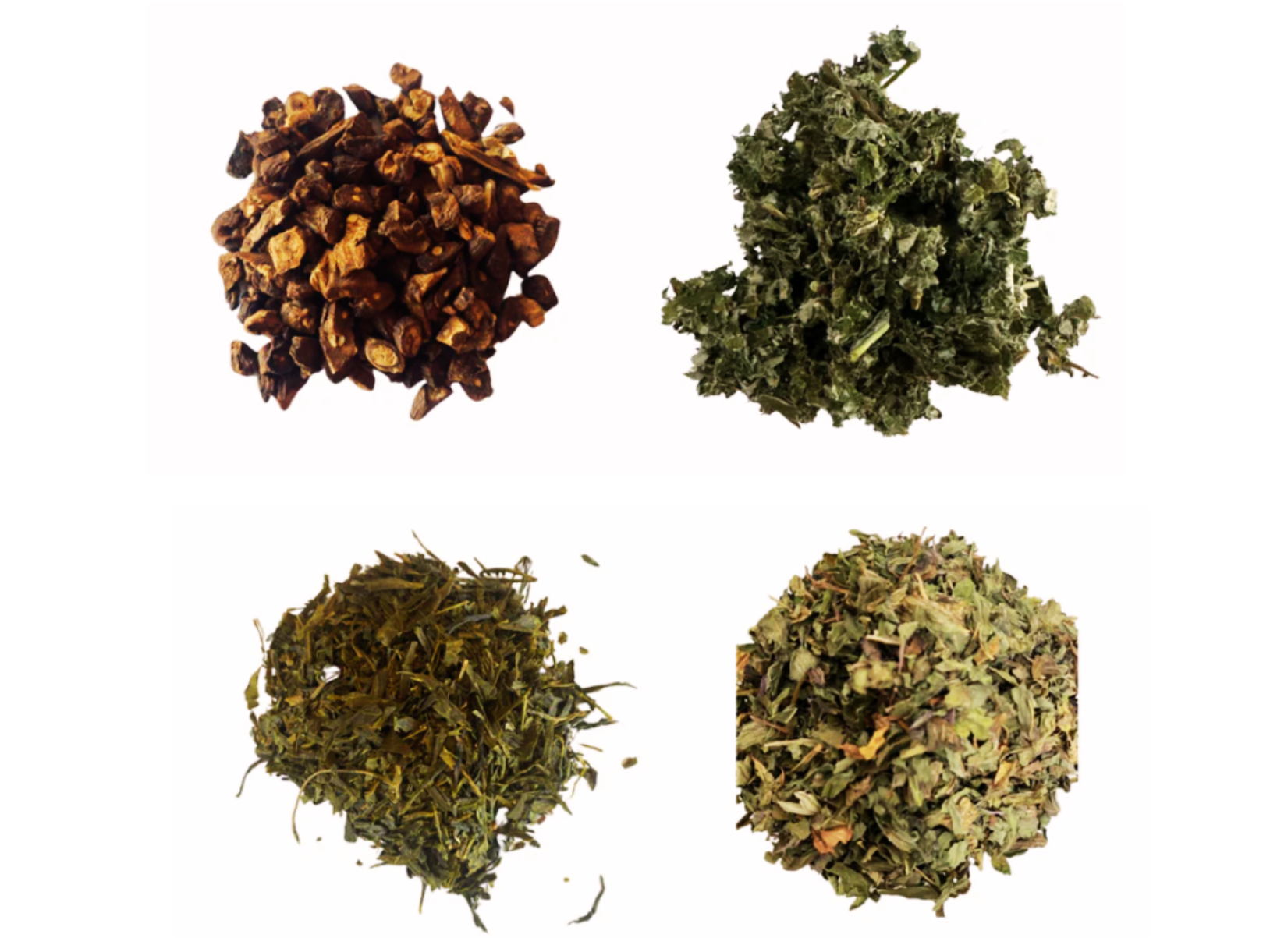 Fae & Co $10 Voucher - Image 6