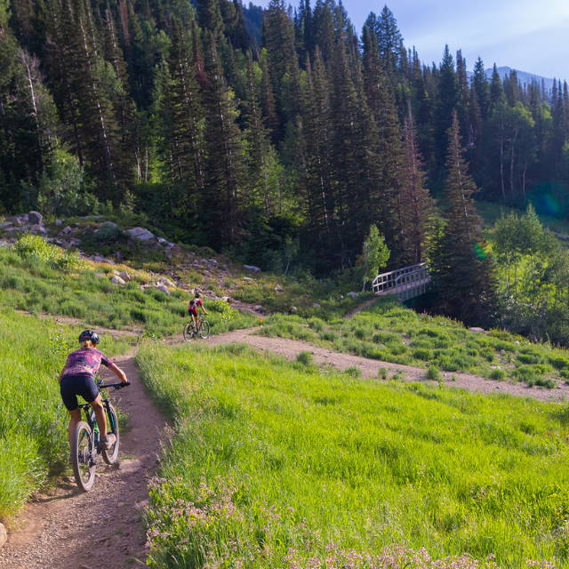 Two mountain bikers on grassy trail