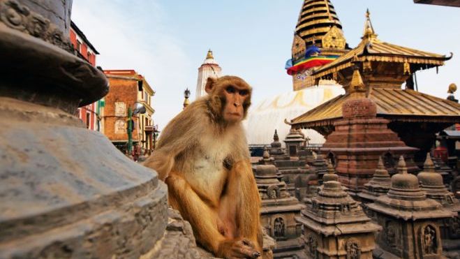 Swayambhunath (Monkey Temple)