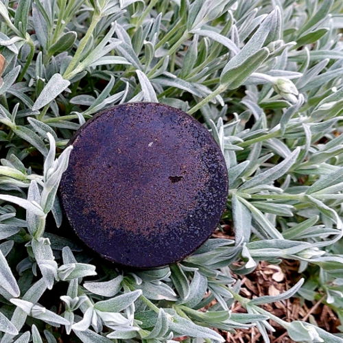 Savon Shampoing Avocat & Shikakai