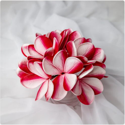 Candy Stripe Frangipani Flowerhead (6 Pack) - Realistic Artificial Flowers