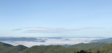 Guided Tour of Blue Ridge Parkway and Tail of Dragon near Front Royal, VA
