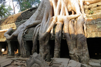 Ангкор. Лучшие храмы.