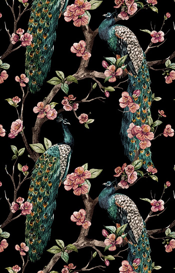 peacock bird designer wallpaper