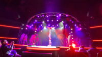 Rouge - The Sexiest Show in Vegas! Las Vegas reviews photo