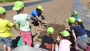 wissenschaftsscheune der acker