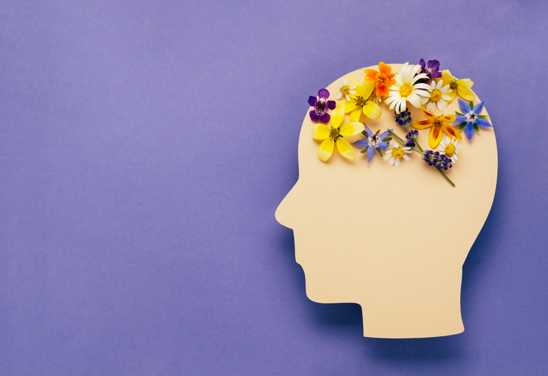 Touching the Mind: Mental and Mood Disorders for Massage Therapists