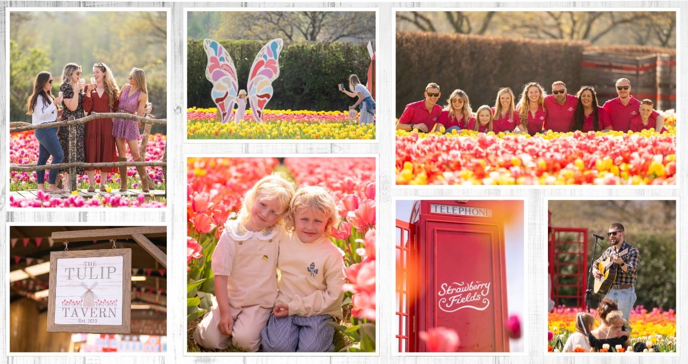 Discover the biggest and best pumpkin festival in Devon & Cornwall, and South West! Pumpkin Fest at Strawberry Fields is the ultimate family day out with a huge pumpkin patch, pumpkin picking, maize maze, barrel train rides, photo spots, tasty autumn treats & fun for all ages. Book now!