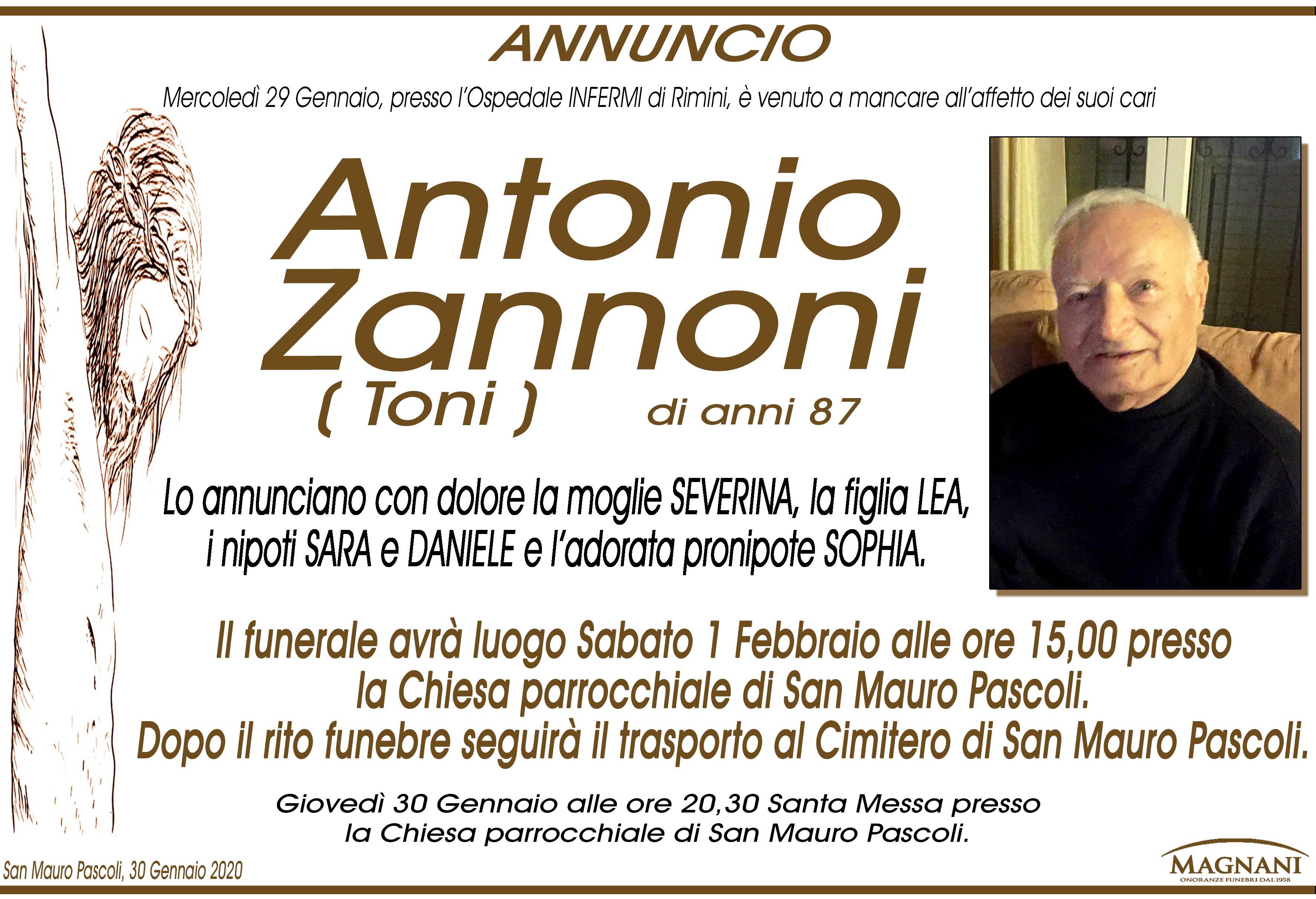 Antonio Zannoni