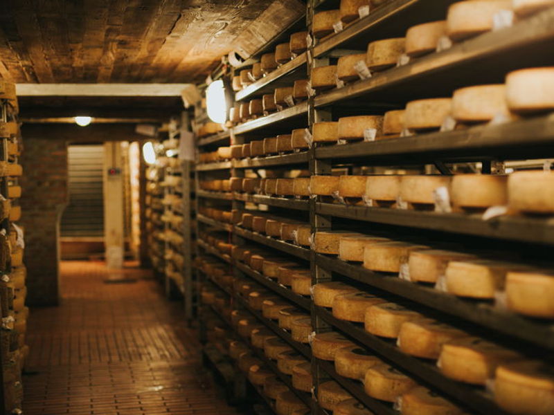 Tours enogastronómicos Arona: Guffanti Formaggi: bodega de maduración y degustación