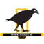 Motueka Cricket Club logo
