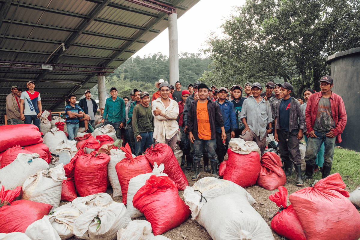 A group of coffee farmers