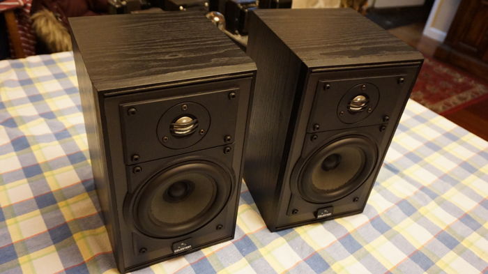 Celestion 3 Fun and musical monitors