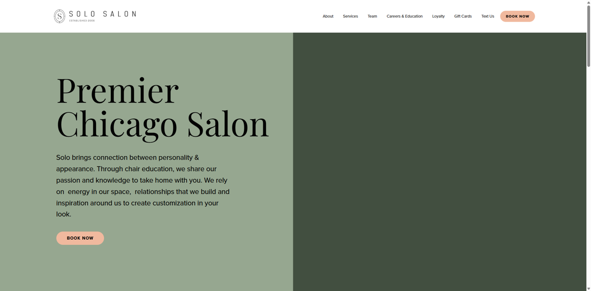 Screenshot of Solo Salon, from the brochure websites collection.