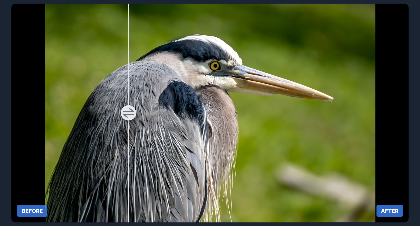 Before and after sharpening comparison using ImgUpscaler