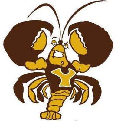 Pakenham Upper Cricket Club Logo