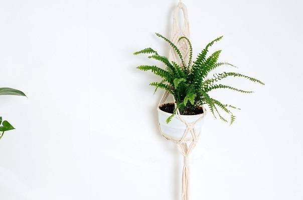 DIY Macrame Plant Hanger