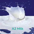 A2 Milk 