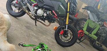 2020 HONDA GROM 125 motorcycle for rent near Sparta, TN