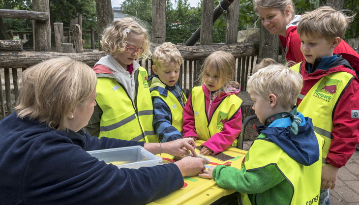 franz frieling f dina