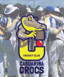 Casuarina Beach Cricket Club logo