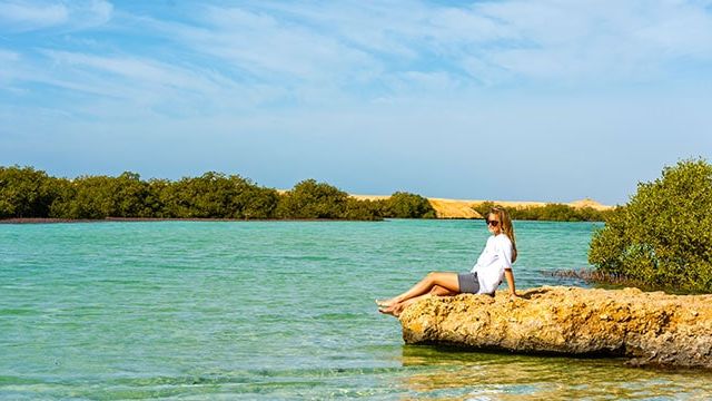 Mangroves at the Ras Mohammed National Park, Sinai, Egypt