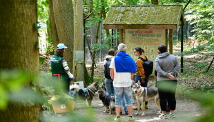 bärenwald müritz maria andresen führung logo