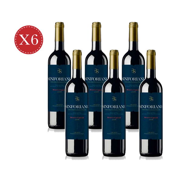 6-x-sinforiano-reserva-esp-2008