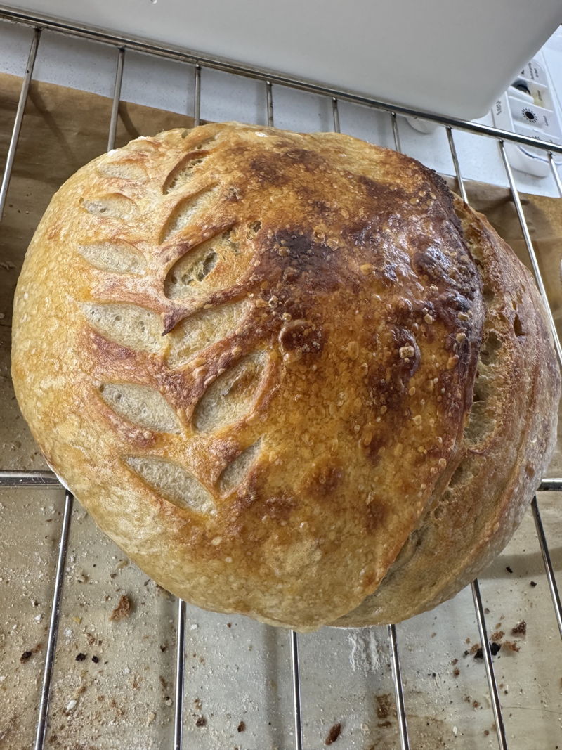 MLYN | Sourdough | Cookies | Honeycake | Napoleon | Eclairs — photo from hotplate.com
