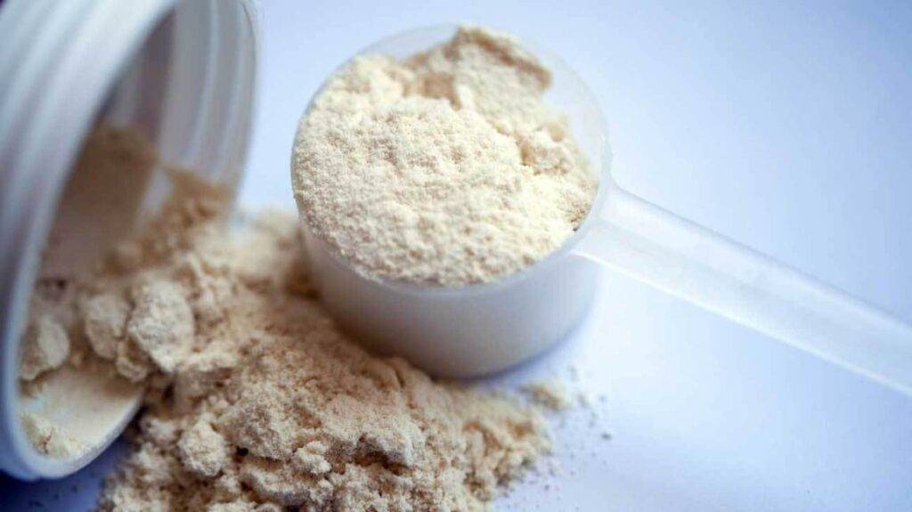 whey protein