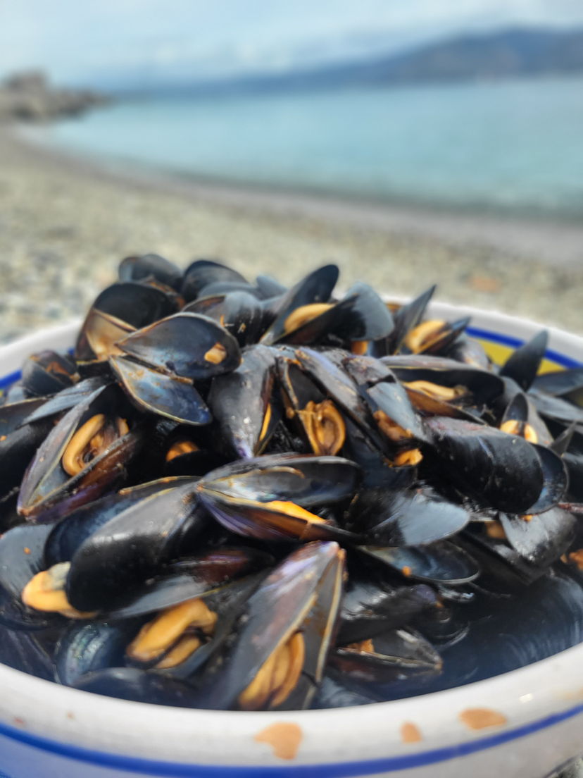Food & Wine Tours Messina: Fish market visit and Sicilian cooking class