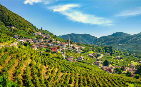 A Sparkling Day in the Prosecco Hills Tour