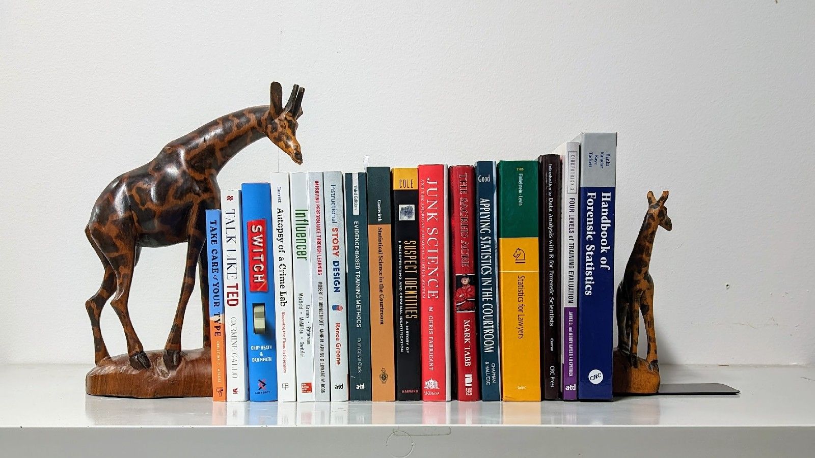 A Bookshelf to Kill Boring Shit