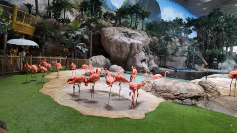 Abu Dhabi: SeaWorld Entry Ticket